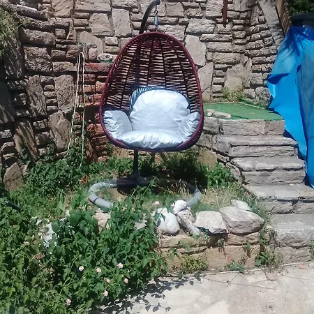 Orkide * アクヤカ